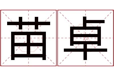 卓名字意思